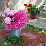Napsugar Vendeghaz Kır Evi