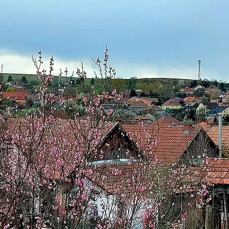 Kır Evi Napsugar Vendeghaz